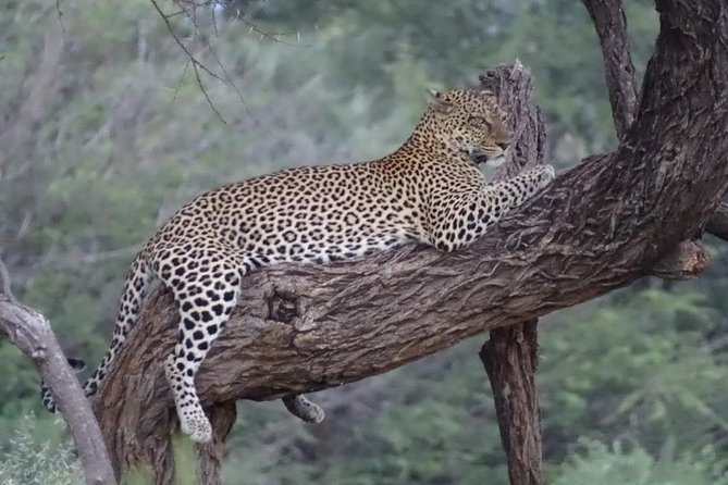 5 Day Safaris Lake Naivasha, Maasai Mara, Nakuru National - Accommodation and Meals