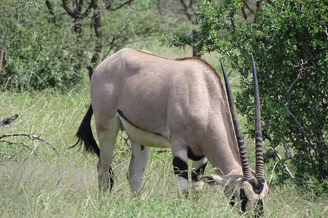 5 Day Safaris Lake Naivasha, Maasai Mara, Nakuru National - Frequently Asked Questions