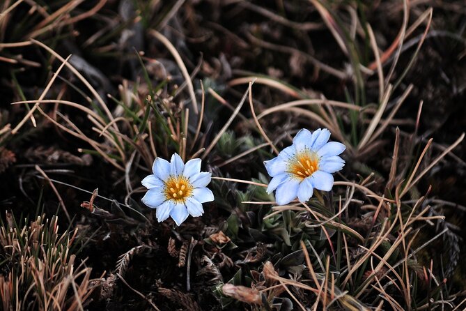 5 Day - Salkantay Trek - The Sum Up