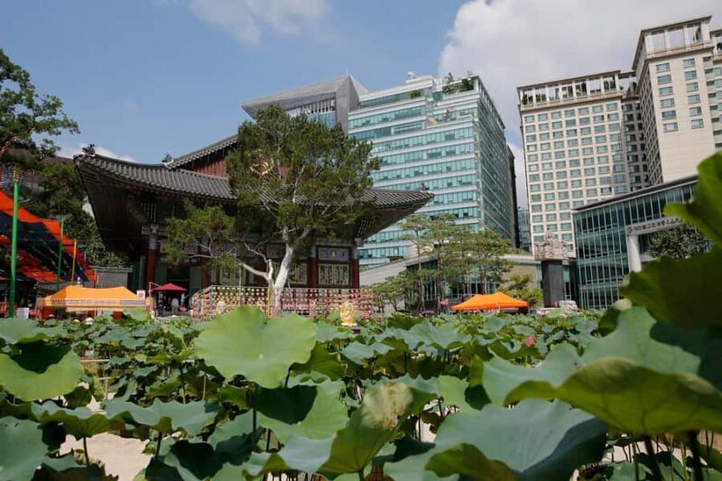 5-Day Seoul and Vicinity Heritage Tour with UNESCO Sites - Good To Know