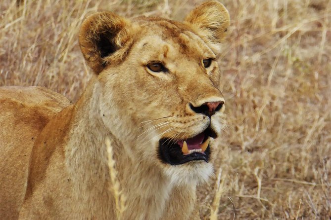 5 Day Serena Luxury Tanzania Safari - Directions