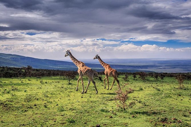 5 Day Serengeti Luxury Safari - Frequently Asked Questions