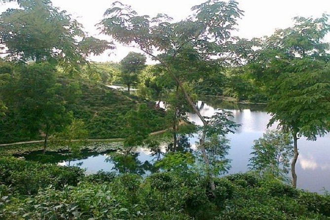 5-Day Sightseeing Tour in Srimangal and Sylhet - Accommodation Details