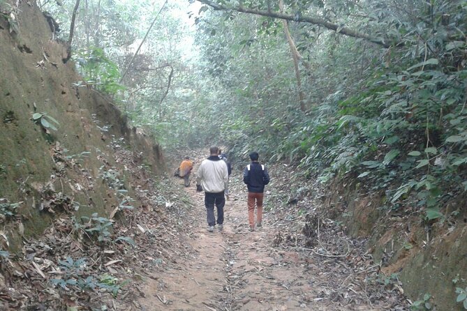 5-Day Sightseeing Tour in Srimangal and Sylhet - Customer Reviews