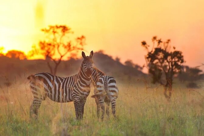 5-Day Sipi Falls and Kidepo Wildlife Tour - Good To Know