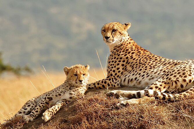 5-Day Sipi Falls and Kidepo Wildlife Tour - Inclusions and Exclusions