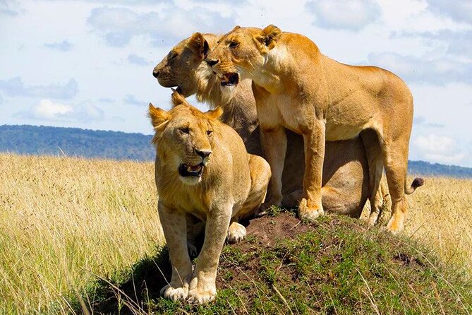 5-Day Sipi Falls and Kidepo Wildlife Tour - Additional Booking Information