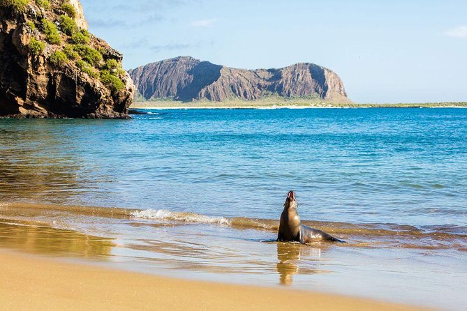 5-Day Small Group Galapagos Multisport: Biking, Hiking, and Snorkeling - Tour Activities and Inclusions