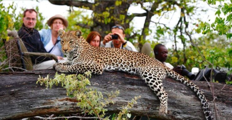 5 Day Small Group Garden Route Tour From CapeTown Dep Monday - Tour Overview