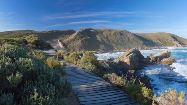 5 Day Small Group Garden Route Tour From CapeTown Dep Monday - The Sum Up