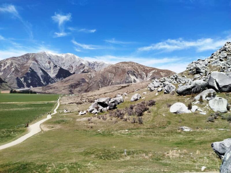 5 Day South Island NZ Tour from Dunedin to Christchurch - Good To Know