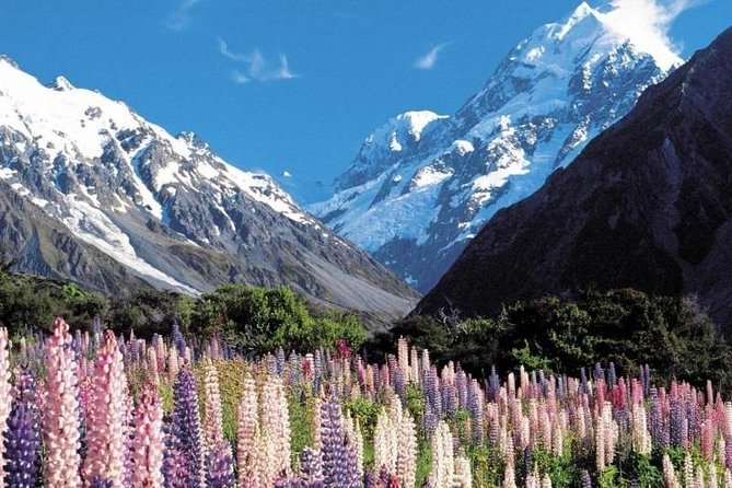 5-Day South Island Tour From Christchurch - Booking and Itinerary