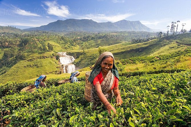 5-Day Sri Lanka Central Highlands Tour - Cancellation Policy