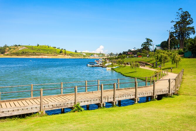 5-Day Sri Lanka Sightseeing Trip With Private Driver  - Colombo - Traveler Photos