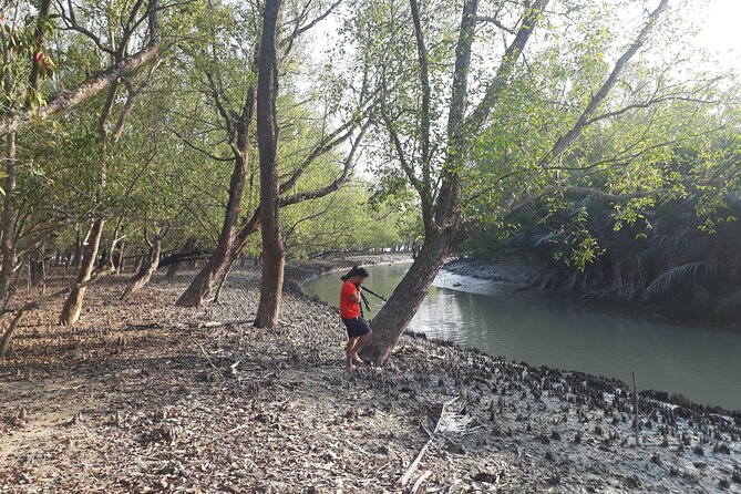 5-Day Sundarban Tour: The Wild Life Adventure - Accommodation Details
