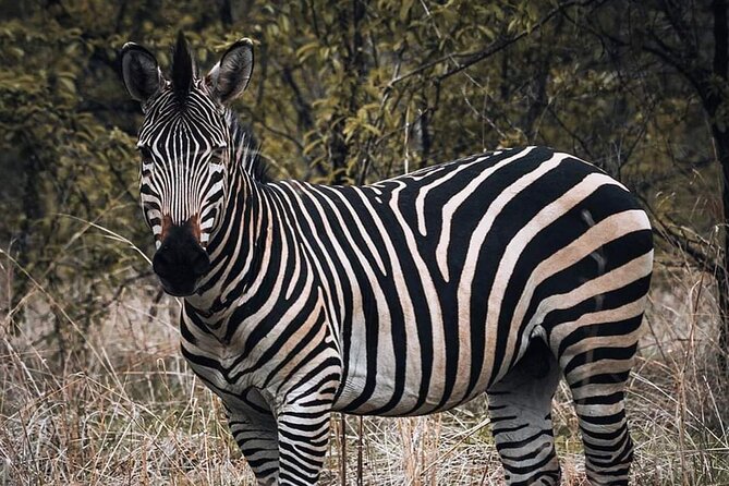 5-Day Tanzania Camping Safari - Frequently Asked Questions