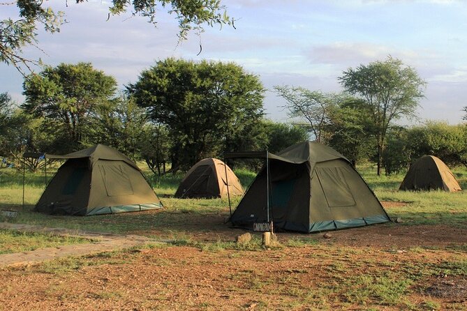 5 Day Tanzania Safari Camping Adventure Private Tour - Wildlife Encounters