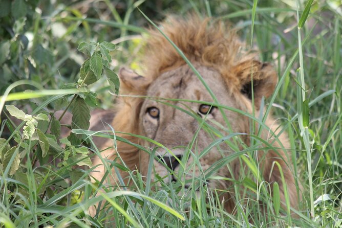 5 Day Tanzania Safari Camping Adventure Private Tour - Booking Information