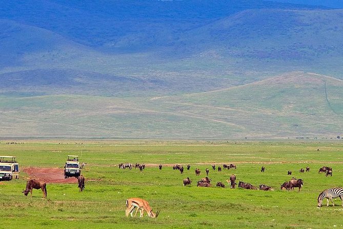 5 Day Tarangire - Serengeti - Ngorongoro - Lake Manyara - Group Joining Tour - The Sum Up
