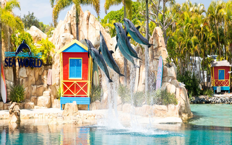 5-Day Theme Parks Pass & Sea World Cruise Combo Ticket - Tickets, timing and small snags to avoid