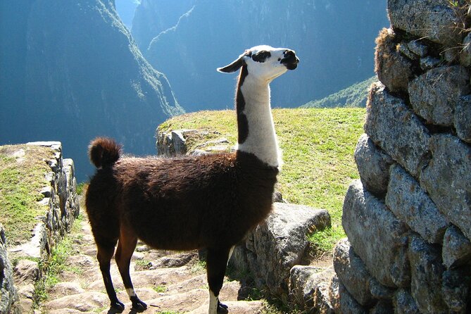 5-Day Tour in Laguna Humantay-Mountain of Colors-Machu Picchu - Customer Reviews and Ratings