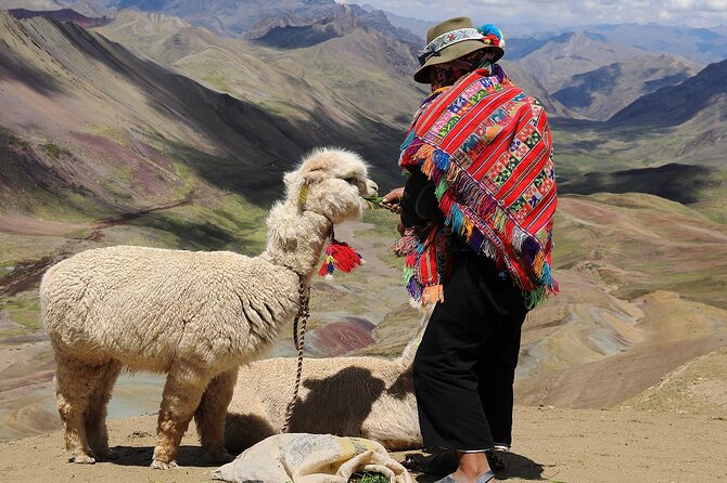 5-Day Tour in Laguna Humantay-Mountain of Colors-Machu Picchu - Terms and Conditions