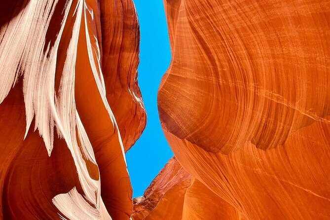 5 Day Tour L. Angeles Las Vegas Yellowstone & Grand Teton from LA - Who Is This Tour Best For?