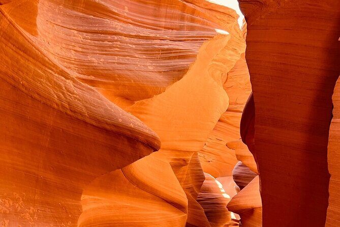 5 Day Tour L. Angeles Las Vegas Yellowstone & Grand Teton from LA - Final Thoughts: Is It Worth It?