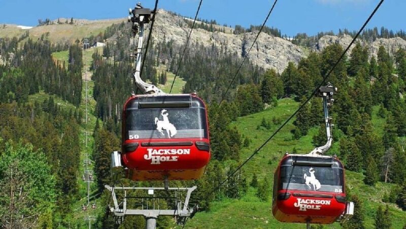 5-Day Tour: LA, Vegas, Antelope Canyon & National Parks - Authentic Experiences and Practical Insights