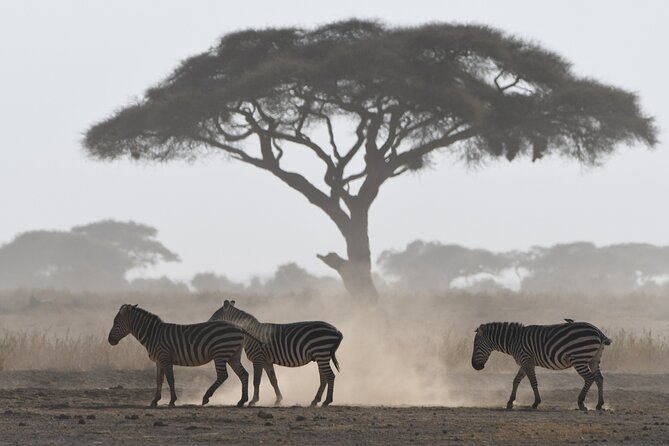 5 Day Tour of Lake Naivasha Lake Nakuru and Masai Mara Reserve - Meals and Dining Options