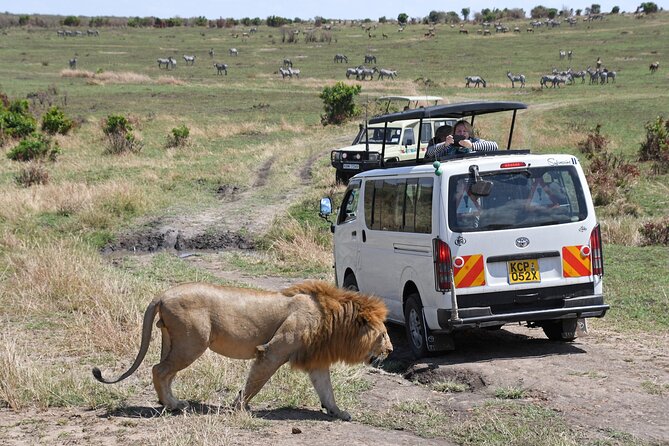 5 Day Tour of Lake Naivasha Lake Nakuru and Masai Mara Reserve - Cultural Experiences Included