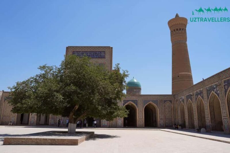 5-Day Tour: Tashkent - Khiva - Bukhara - Samarkand - Transportation, Guides, and Overall Value