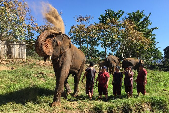 5 Day Tuk Tuk Adventure in Chiang Mai - With Driver - Itinerary Highlights