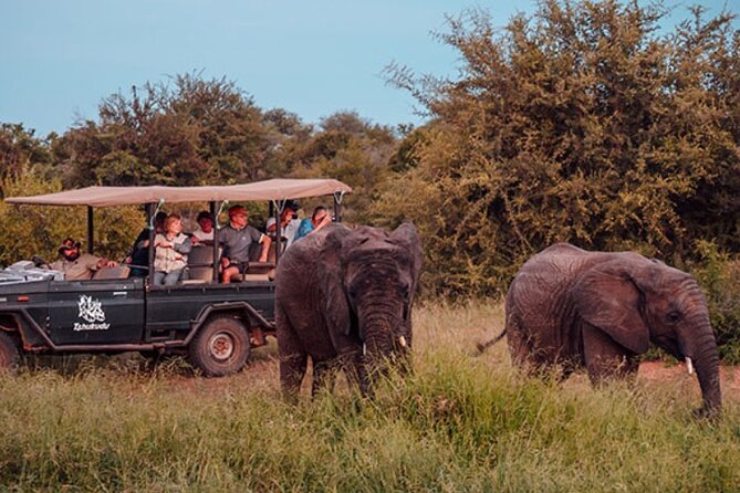 5-Day Unforgettable Safari at Tshukudu Game Lodge - Day 2: Exploring Tshukudu Game Lodge