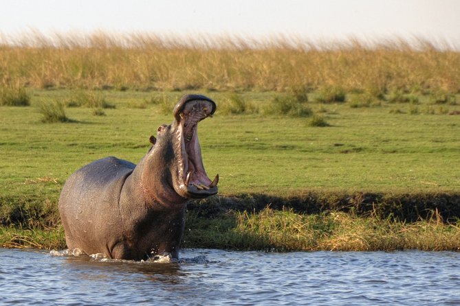 5-DAY Victoria Falls and Chobe National Park - Good To Know