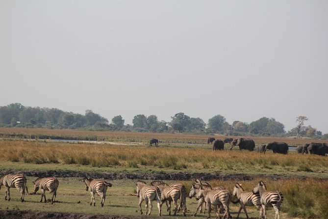 5-DAY Victoria Falls and Chobe National Park - Itinerary Overview