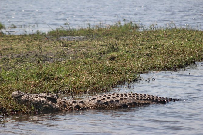 5-DAY Victoria Falls and Chobe National Park - Transportation Information