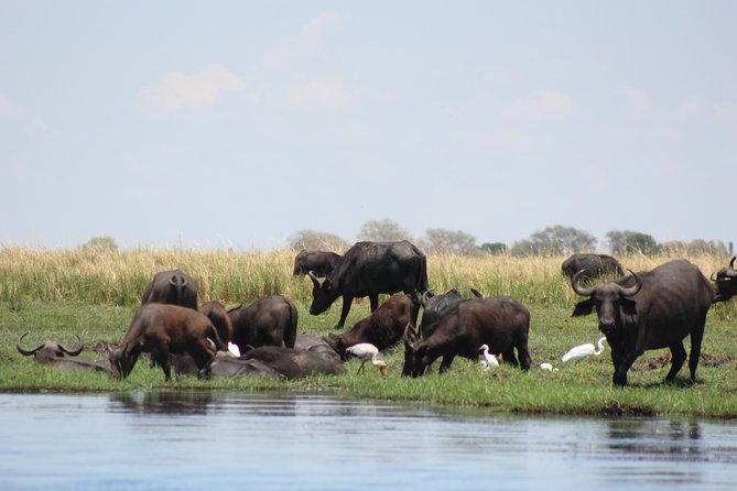 5-DAY Victoria Falls and Chobe National Park - Important Notes
