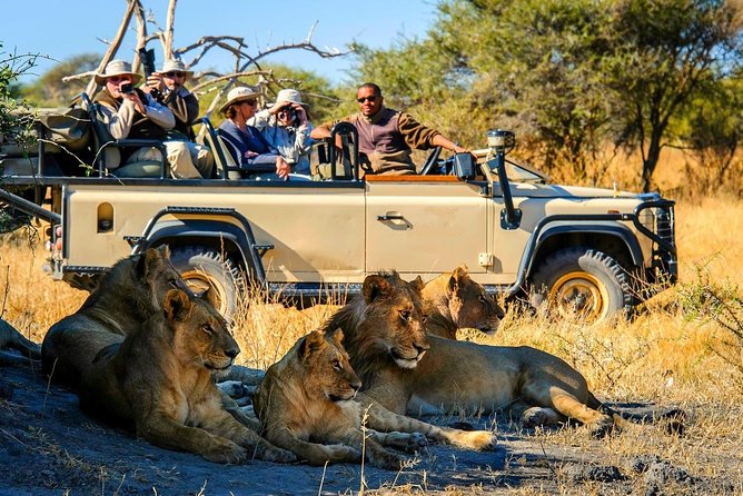 5-Day Victoria Falls and Chobe Tour From Victoria Falls - Important Information