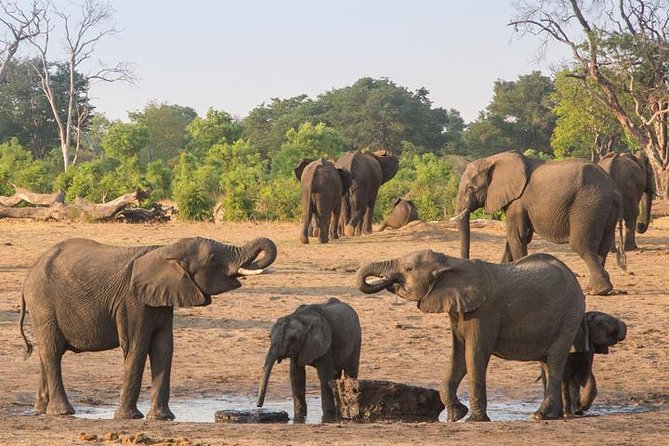 5 Day Victoria Falls and Hwange National Park Accommodated Tour Safari - Meal Plan