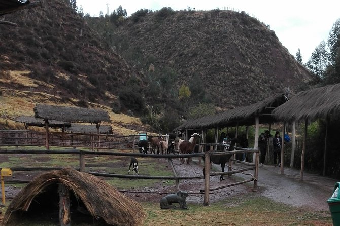 5 Day View The Most Popular The Sacred Valley, Machu Picchu & Rainbow Mountain - Additional Information