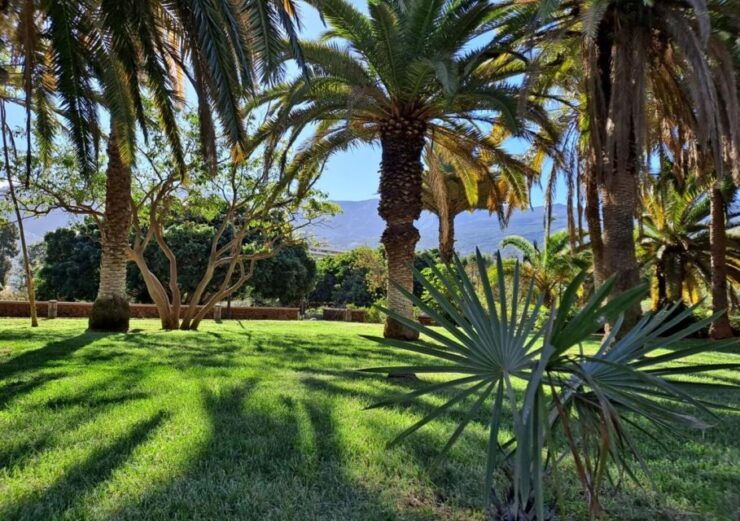 5 Day Wellness & Relaxation Break in Northern Tenerife - Booking Details for the Wellness Break
