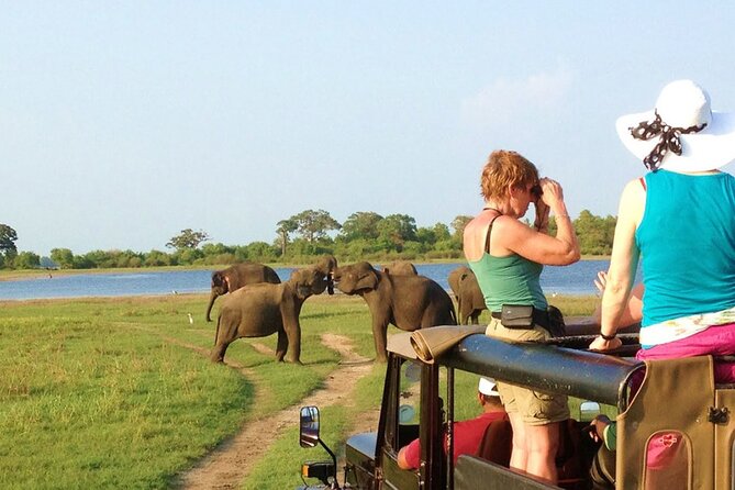 5 Day Wildlife and Gorilla Safari in Africa - Gorilla Trekking Experience