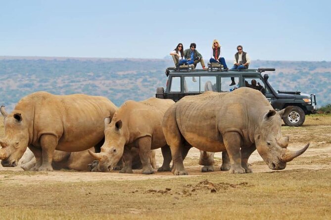 5 Day Wildlife and Gorilla Safari in Africa - Accommodation Details