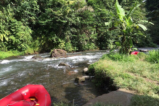 5 Day Wildlife Safari Tour in Sri Lanka - Exploring the 5-Day Wildlife Safari Tour in Sri Lanka