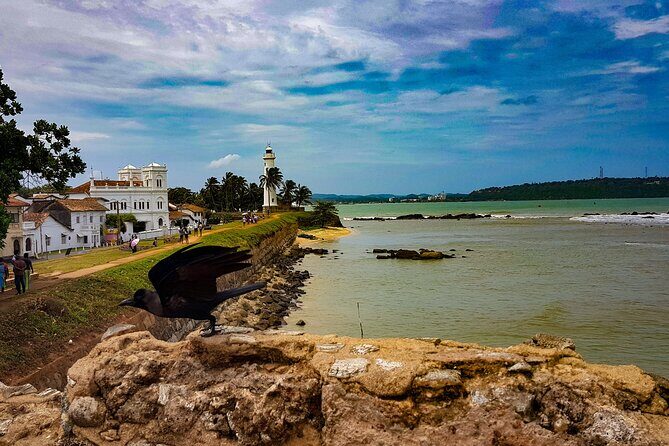 5 Day Wildlife Safari Tour in Sri Lanka - Final Thoughts