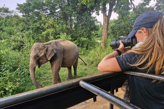 5 Day Wildlife Safari Tour in Sri Lanka - Good To Know
