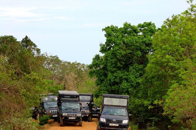 5 Day Wildlife Safari Tour in Sri Lanka - Frequently Asked Questions