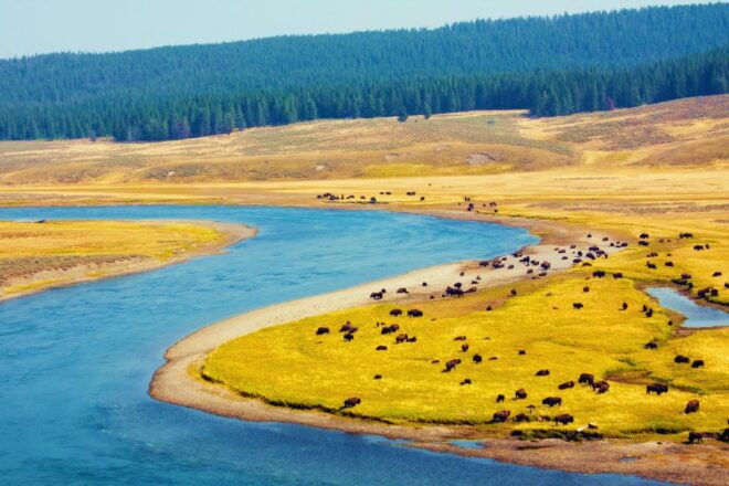 5-Day Winter Yellowstone Wildlife Tour - Tour Inclusions