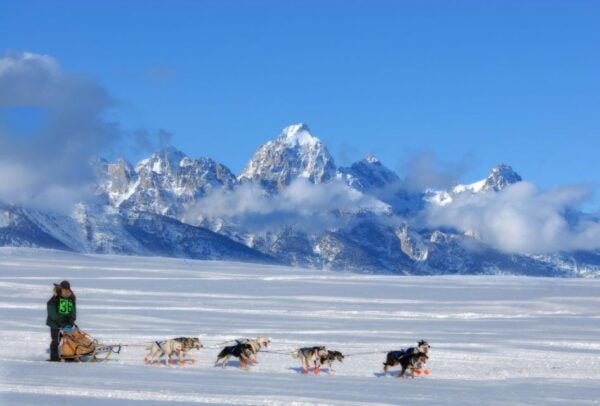5-Day Winter Yellowstone Wildlife Tour - Pricing and Reservation Details